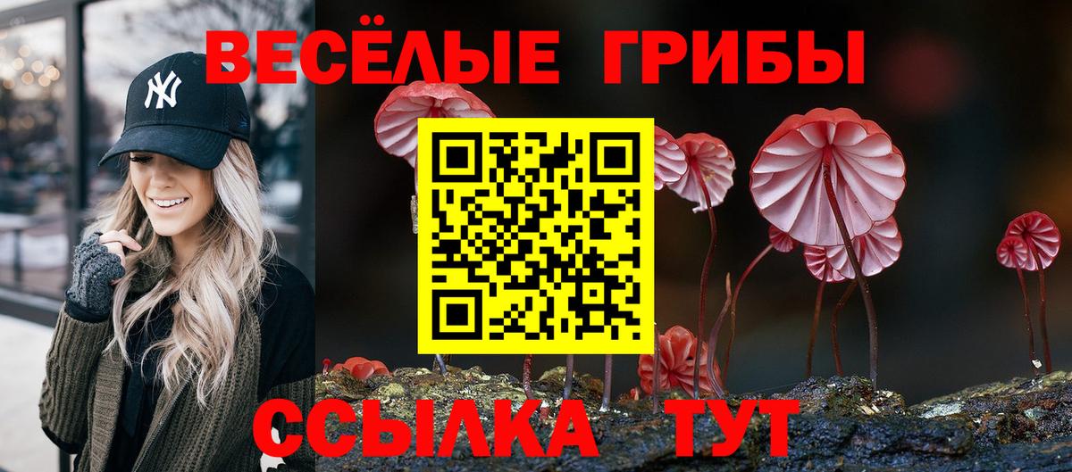 Галлюциногенные грибы мицелий Сатка