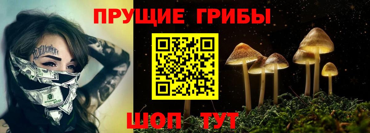Псилоцибиновые грибы Cubensis  Вход с VPN  Галлюциногенные грибы мицелий  Сатка 
